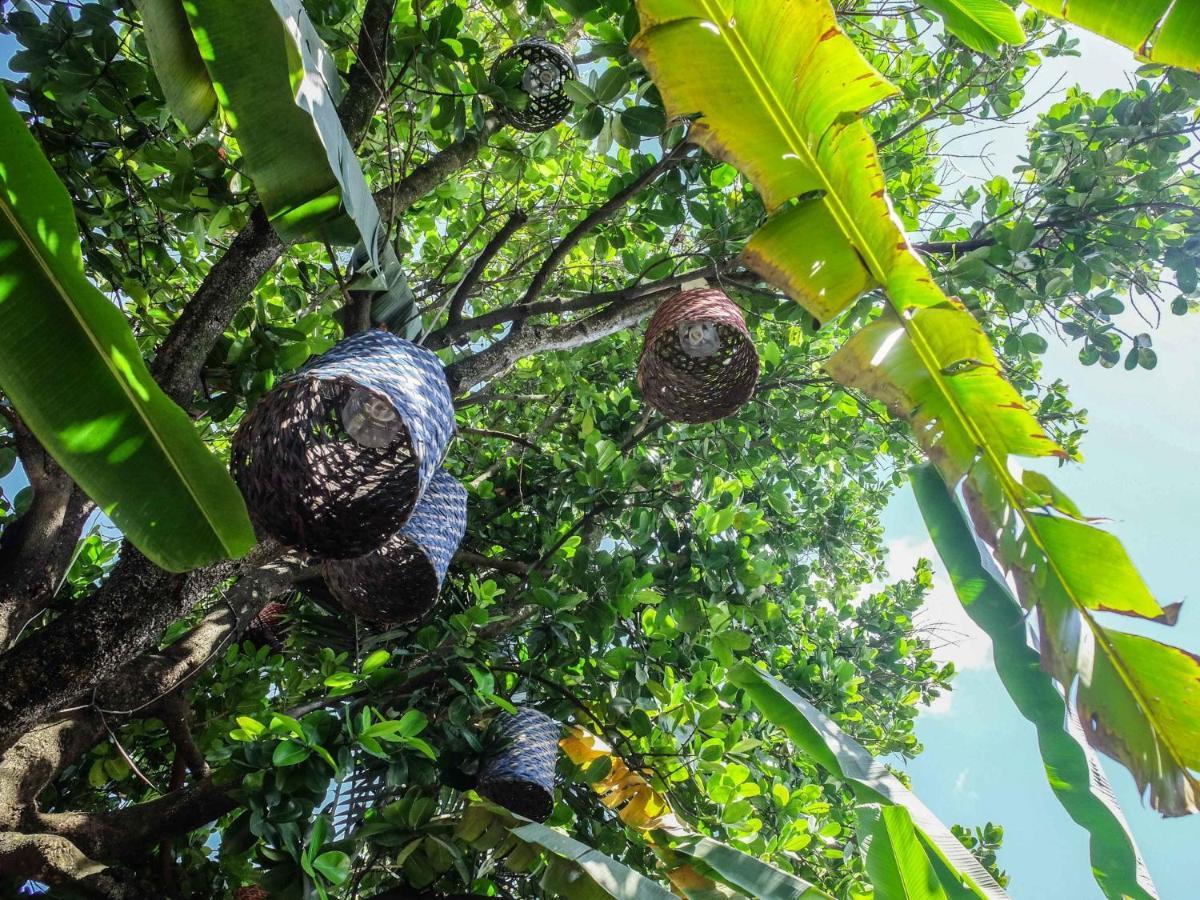 Casa De Palos Boutique Tarapoto Kültér fotó