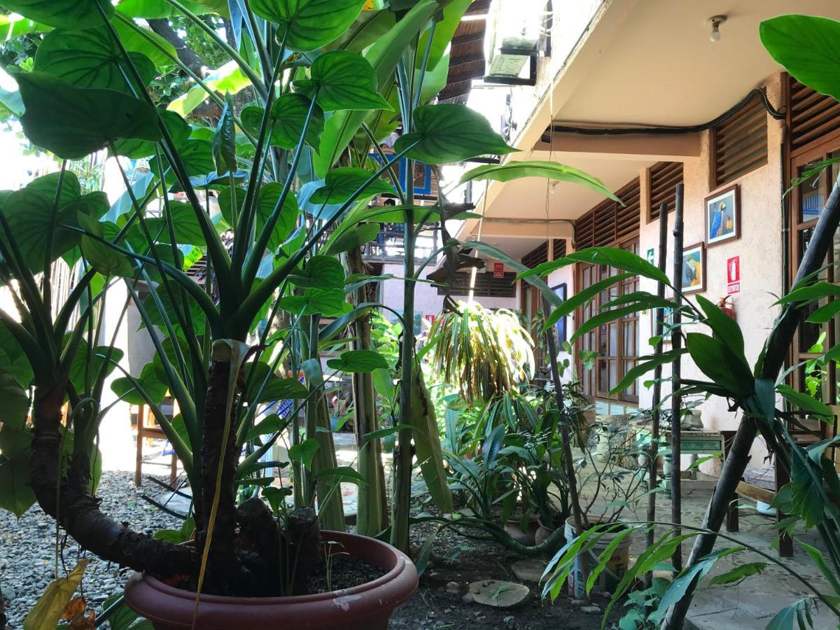 Casa De Palos Boutique Tarapoto Kültér fotó