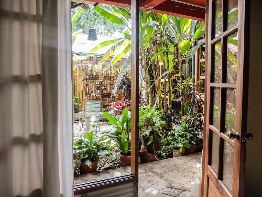 Casa De Palos Boutique Tarapoto Kültér fotó
