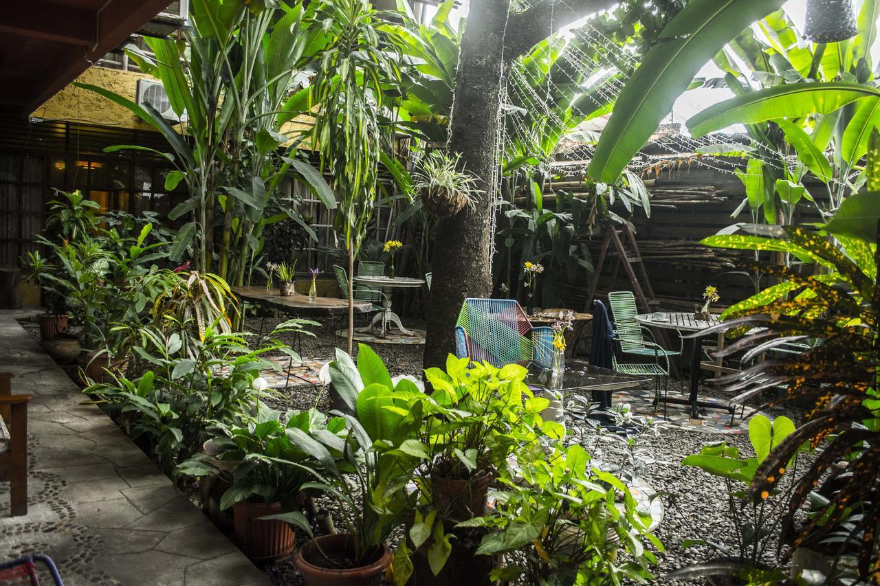 Casa De Palos Boutique Tarapoto Kültér fotó