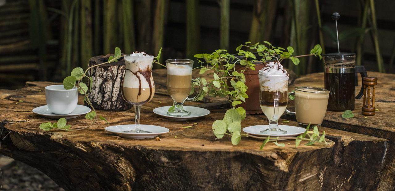 Casa De Palos Boutique Tarapoto Kültér fotó
