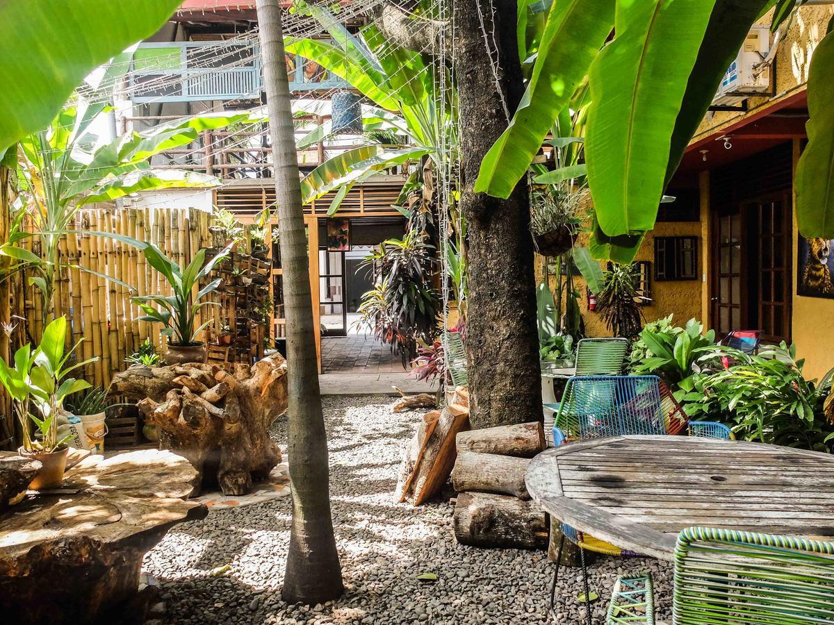 Casa De Palos Boutique Tarapoto Kültér fotó